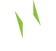 Nordvalls-white-green (1)